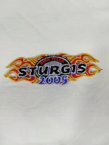 2005 Bike Week Sturgis Motorcycle Rally Fire & Flames Embroidered Patch Vintage  - Picture 1 of 4