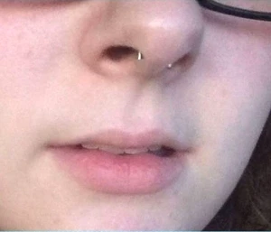 2 PIEZAS 12g REATINAS DE TABIQUE MÁS PEQUEÑAS 6 X 3mm Acero Quirúrgico. - Imagen 1 de 2