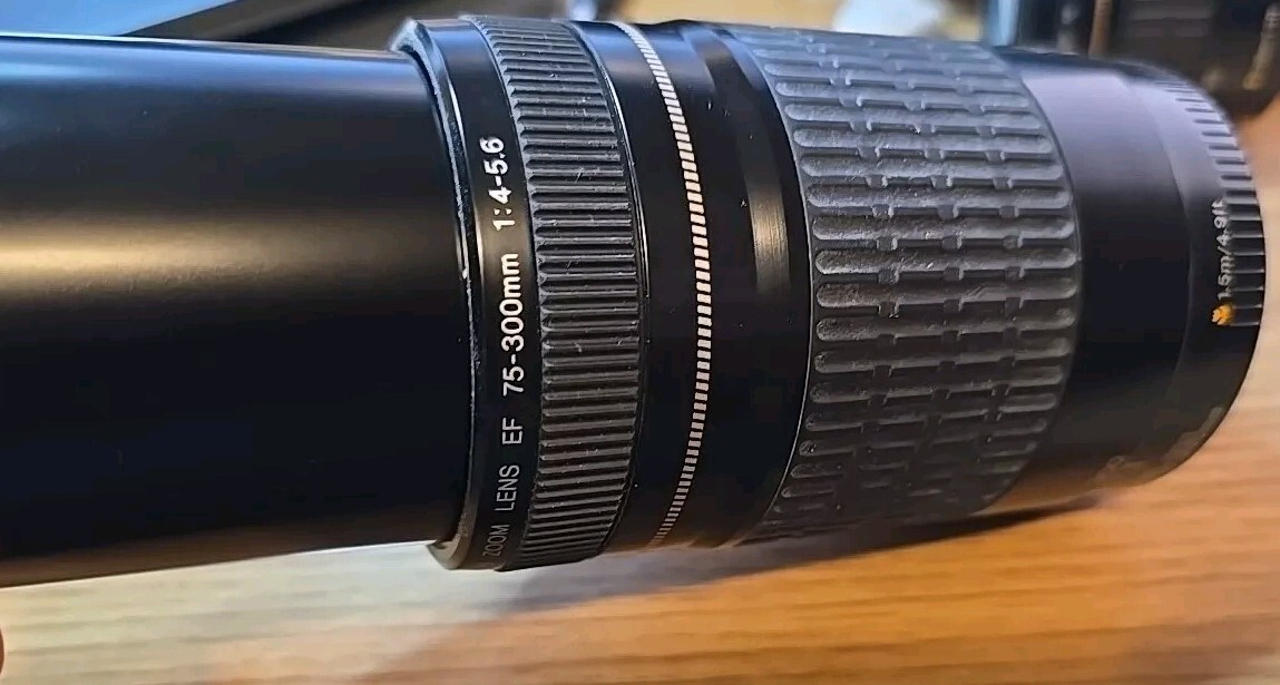 Canon EF 75-300mm Camera Lenses for sale | eBay Canon EF 75-300mm Camera Lenses for sale | eBay