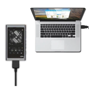 For Sony NWA55 A56 A57 NWA35 A45 NWZX300 ZX300A Charging and Data Cable - Picture 1 of 11