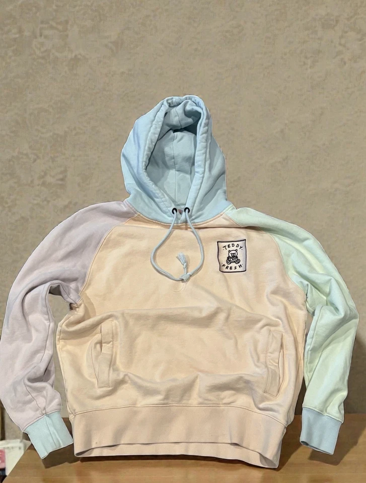 Sudadera con Capucha Teddy Fresh Colorblock Parche Pastel Logo Unisex Talla L Rara Difícil de Encontrar Foto 1 de 4
