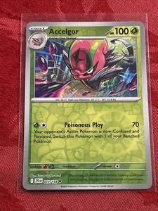 Reverse Holo Pokemon - Accelgor - Journey Together JTG (SV09) 013/159 R. Holo - Picture 1 of 7