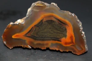 Condor agate collector specimen - Picture 1 of 4