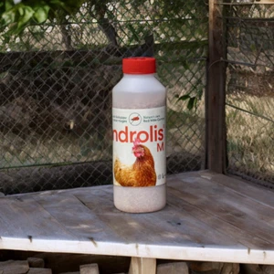 Androlis Chicken Mite Predators - Kills Red & Northern Fowl Mite M, L, XL, XXL - Picture 1 of 20