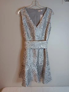 NATORI Silver A-Line Cocktail Dress Sz 8 Sleeveless V-Neck Empire Waist Belt New - Picture 1 of 5