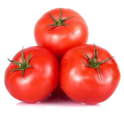 TOMATO Grosse Lisse 30 seeds HEIRLOOM vegetable garden SPRING SUMMER easy grow - image 1 of 4