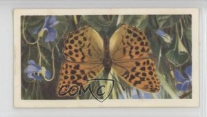 1963 Brooke Bond British Butterflies Tea Silver Washed Frittillary #15 0y5