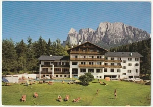 FIE' ALLO SCHLERN - VÖLS AM SCHLERN - ST. KONSTANTIN - PENSION PERWANGER -46574 - Bild 1 von 1