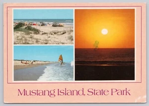 Mustang Island Texas, Parque Estatal, Multivista, Postal De Colección - Imagen 1 de 2