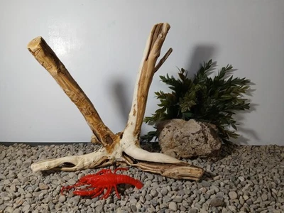 Driftwood aquarium fish & reptiles 11x14" natural stump decor - Image 1 of 4