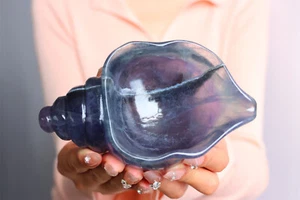 640g Top Natural Fluorite Conch Quartz Skull Crystal Specimen Reiki Healing Gift - Picture 1 of 10