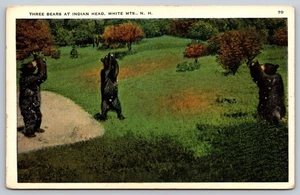 Postkarte New Hampshire White Mountains Drei Bären am Indian Head unbesendet um 1920 - Bild 1 von 2
