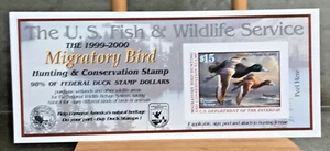 Mint #RW66A 1999 - 2000 US Federal Duck Stamp Purchased from Post Office - Picture 1 of 6