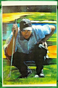 🔥TIGER WOODS🔥 Haiyan Art Print Poster 11x17 Pro Golfer Golf Most PGA Tour Wins - Picture 1 of 5
