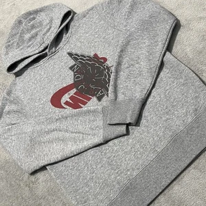 Jordan Hoodie Boys L Gray Wings Nike Logo Sportwear Club Fleece Sweatshirt - Picture 1 of 17