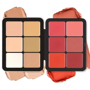 12 Farben Concealer Kontur Rouge Creme Palette Matt Highlight Make-up Kit - Bild 1 von 8