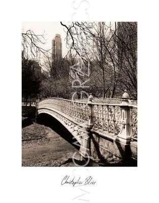 Central Park Bridges 2 New York, Chris Bliss, Wall Decor Art Print 14" x 11" - Image 1 of 2