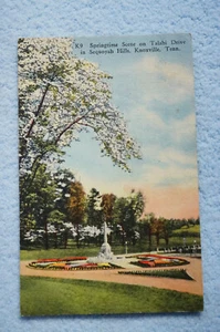 Escena de primavera en Talahi Drive en Sequoya Hills - Knoxville, Tennessee - Imagen 1 de 2