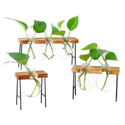  Übertopf Glas Blumenvase Wasserpflanzvase Hydroponische Glasvase - Bild 1 von 4