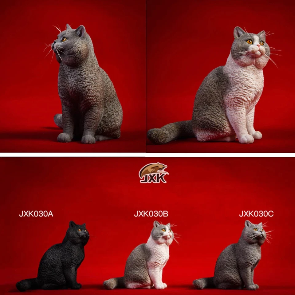 JXK 1/6 British Shorthair Cat Figure Cute Pet Animal Model Toys Xmas Gift Decor - Image 1 of 1