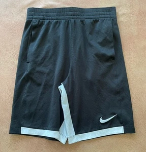 Boys Dri-Fit Swim Trunks - Nike Large - Picture 1 of 3