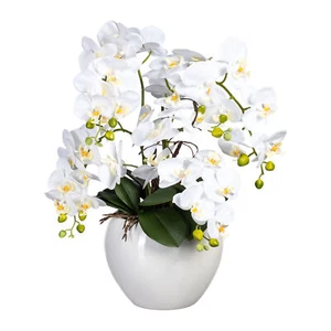 Phalaenopsis, 56cm, weiß, im Keramiktopf weiß DM24x20cm, Real Touch Kunstpflanze - Bild 1 von 1