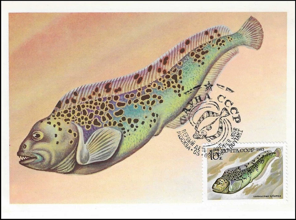 Spotted Catfish Fish Exotic Multicolor Fish Russia Mint Maxi FDC 1983 - Image 1 of 1