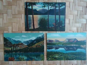 3 mini impresiones de colección Colorado Bear Grand Trapper's Lakes National Park arte forestal - Imagen 1 de 7