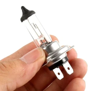 Bombilla halógena para faro delantero de coche H7, 55W, 12V, DESDE ESPAÑA L01 - Imagen 1 de 7