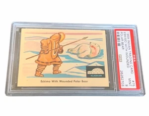 1959 Indian Trading Card PSA 9 Woodland Plains Native #75 Eskimo Polar Bear vtg - Picture 1 of 4