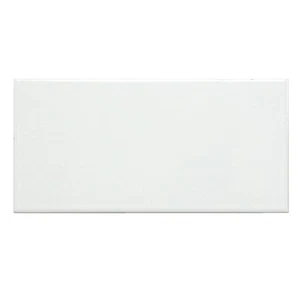 Ersatzfliese Boden Agrob Buchtal E1168 weiß glänzend 12x24,5 cm - Bild 1 von 7