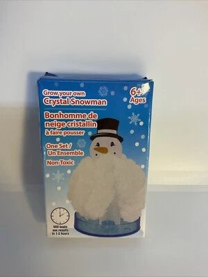 Cultiva tu propio muñeco de nieve de cristal relleno de medias Navidad Foto 1 de 4