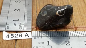 AGATE TURITELLE pierre roulée mineraux lithotherapie collection esoterisme reiki - Imagen 1 de 2