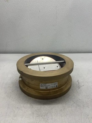 Válvula de retención soplador de válvula EE. UU. 8"-09-2-0S Foto 1 de 4