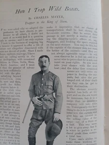 Charles Mayer Big Game Trapping Hunting Old Antique Article 1905 Siam Lions - Picture 1 of 5