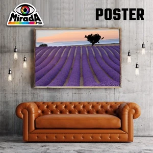 Poster Landschaft Felder Lavendel Duft Violett Reise Bienen Insekten Farbe - Bild 1 von 1