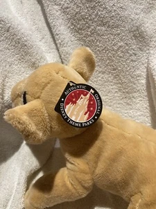 Disney Parks The Lion King Young Nala Cub 9 Inch beanbag, plush BRAND NEW W/Tag! - Picture 1 of 12