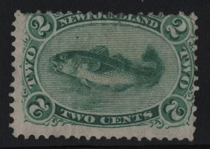 #24a Newfoundland Canada mint cv $100 - Picture 1 of 2