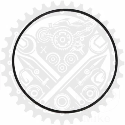 Junta tórica de culata Athena para gas gas EC 300 réplica Guillaume Foto 1 de 4