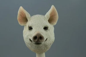 CABEZA INTERCAMBIABLE CERDO ROSA VER TODAS LAS RAZAS, CUERPOS @ TIENDA EBAY) - Imagen 1 de 3