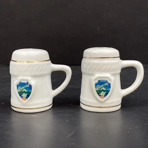 Vintage Colorado Souvenir Travel White Porcelain Beer Stein Salt Pepper Shakers - Imagen 1 de 8