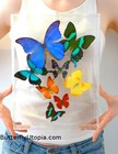 Real 3D Framed Butterflies: Butterfly Art - Acrylic Frame - includes Blue Morpho