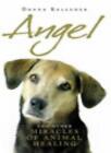 Angel: And Other Miracles of Holistic Animal Healing By Donna Kelleher
