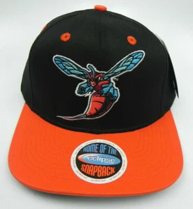 DELAWARE ST. HORNETS NCAA VINTAGE DRUCKKNOPFLASCHE RETRO-STIL FLACHE ZWEIFARBIGE KAPPE MÜTZE NEU! - Bild 1 von 5