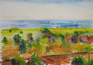Plein air Watercolor of Lake Michigan -Crows Nest view - Picture 1 of 3