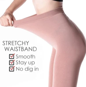 WAKUNA 2 Pairs Women's 100D Fleece Lined Tights Thermal NUDE Size 2X/3X - Picture 1 of 5