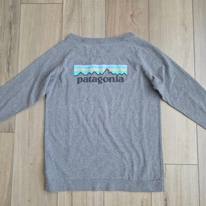 Camiseta Patagonia Responsibili Gris Manga Larga Estampado Gráfico Mujer Talla XS - Imagen 1 de 7
