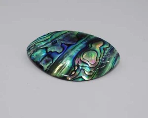 Natürliche Seashell Abalone Muschel Brosche - Bild 1 von 4