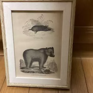 Japanese Woodblock Print Published In Paris 1859 Mole And Alpine Brown Bear Fram - Picture 1 of 8
