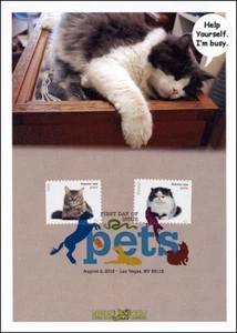 Sc. 5111/5122 Pets Dragon Cards FDC – Cats Only - Picture 1 of 1